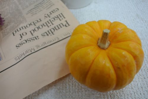 かぼちゃ102801 .jpg