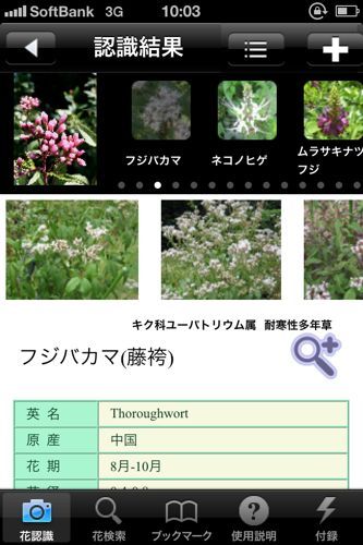 花しらべのアプリ.jpg